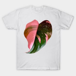 Pink Princess Philodendron T-Shirt